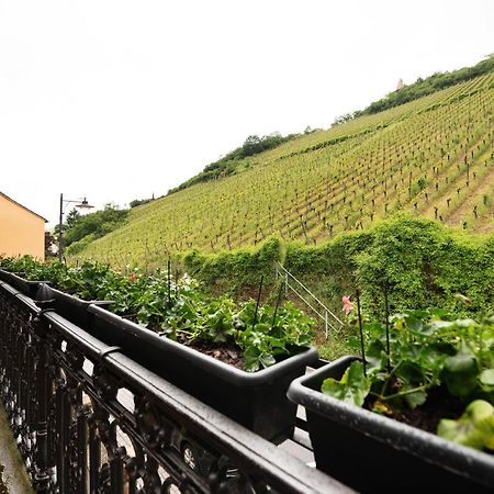 Alte Stadtvilla Am Weinberg 3 Verbandsgemeinde Verbandsgemeinde Traben-Trarbach Buitenkant foto