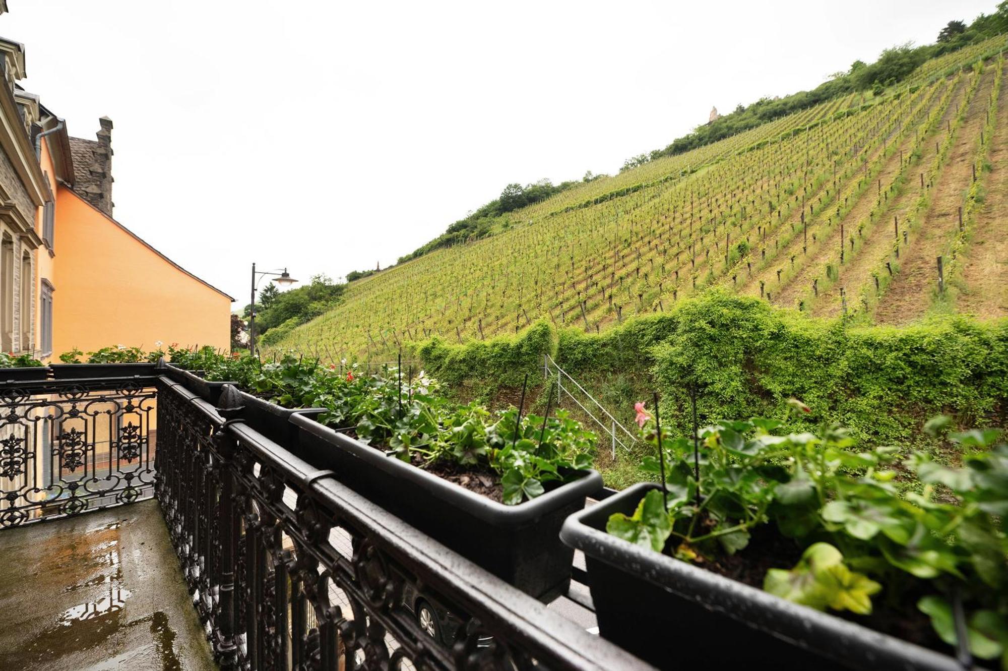 Alte Stadtvilla Am Weinberg 3 Verbandsgemeinde Verbandsgemeinde Traben-Trarbach Buitenkant foto